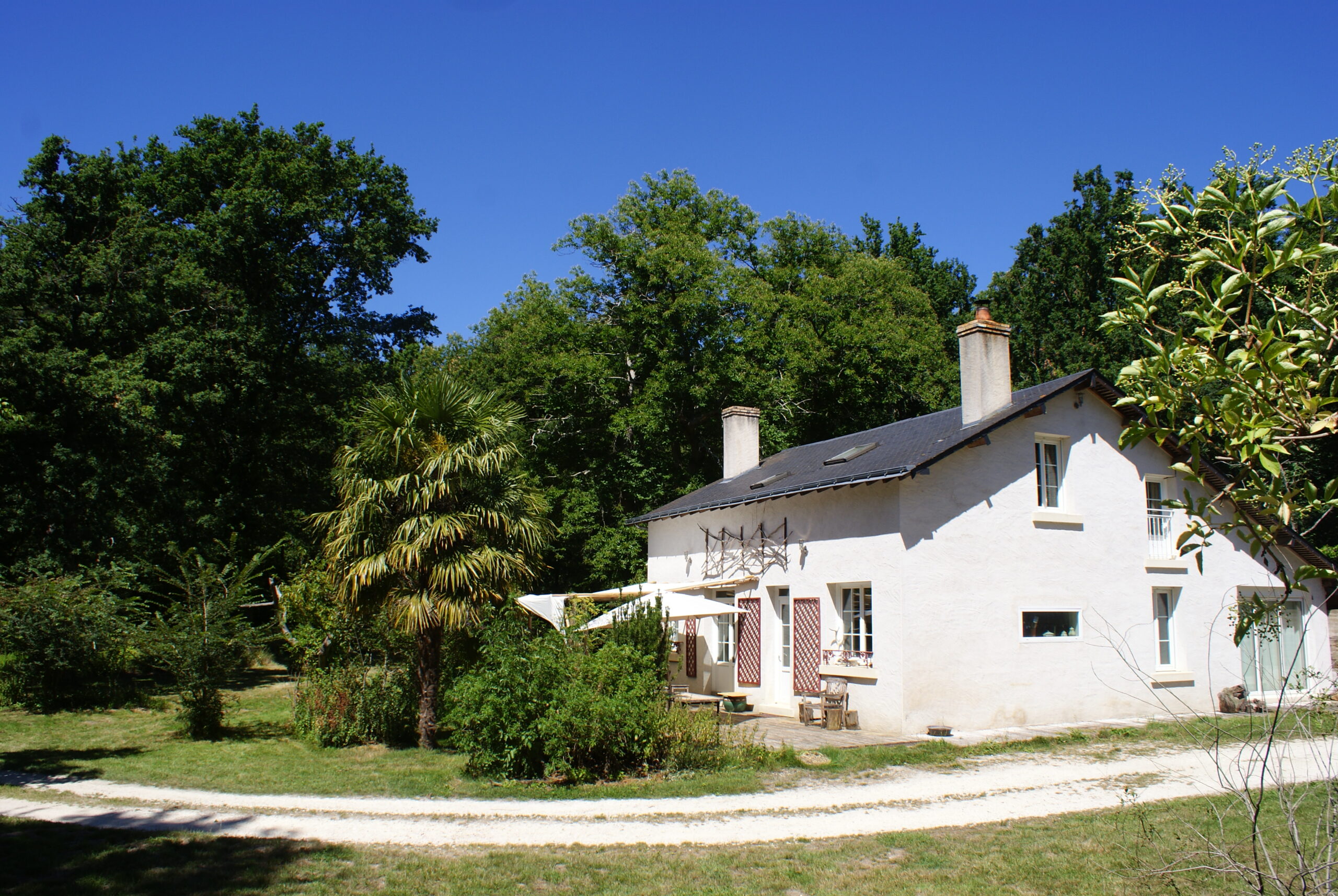 Le gîte familial "Les Brocantiers" sous le soleil et au milieu de la forêt, vous attend.